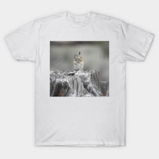 Alpine chipmunk, wildlife, gifts, cute as can be T-Shirt